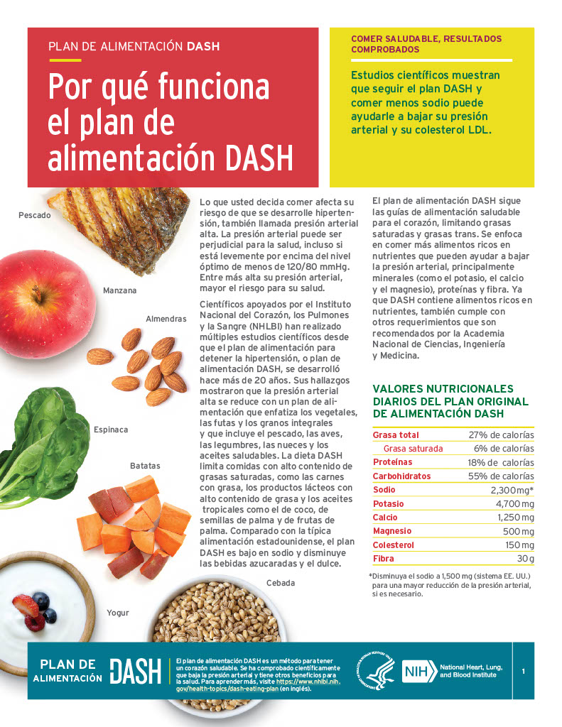 por-qu-funciona-el-plan-de-alimentaci-n-dash